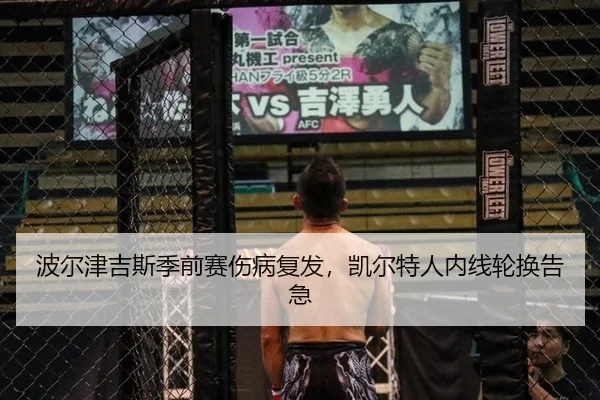 波尔津吉斯季前赛伤病复发，凯尔特人内线轮换告急